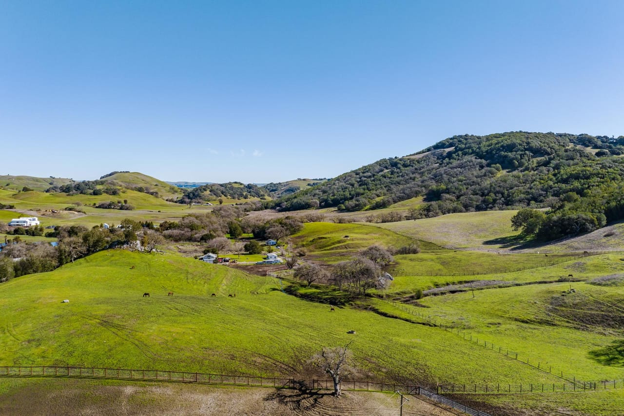 Listing Image 54