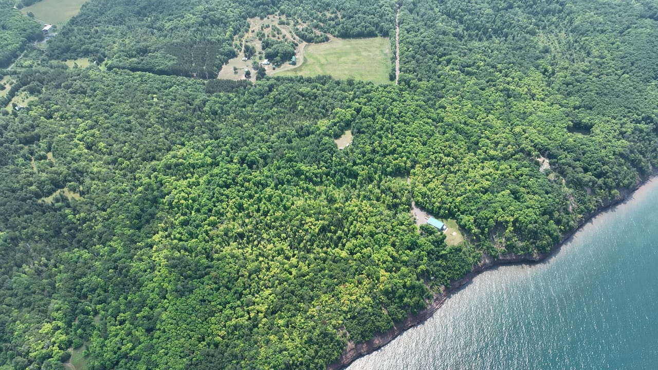 Listing Image 10