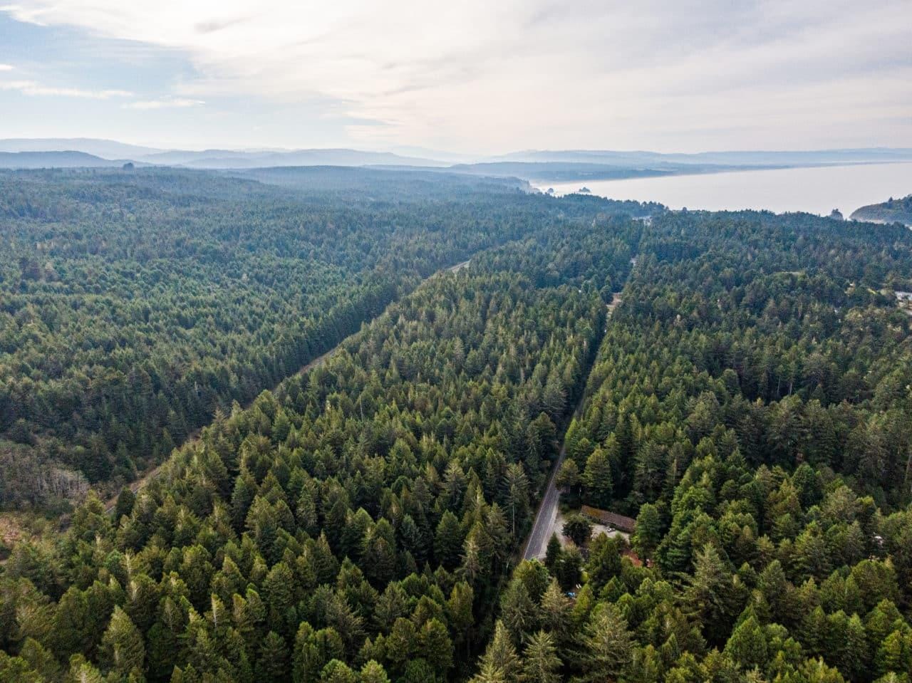 Trinidad Demonstration Forest