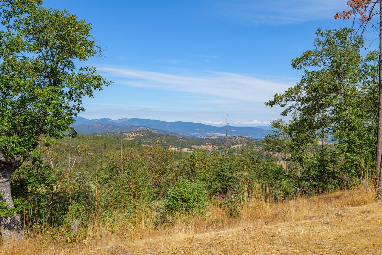 1028 Coleman Hills