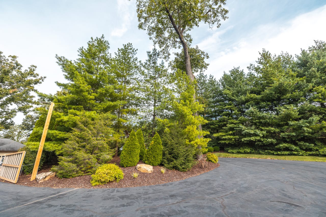 Listing Image 59