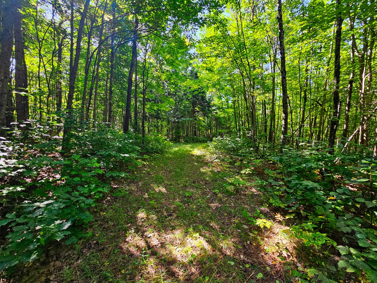 522 Mt. Misery Rd - Littleton