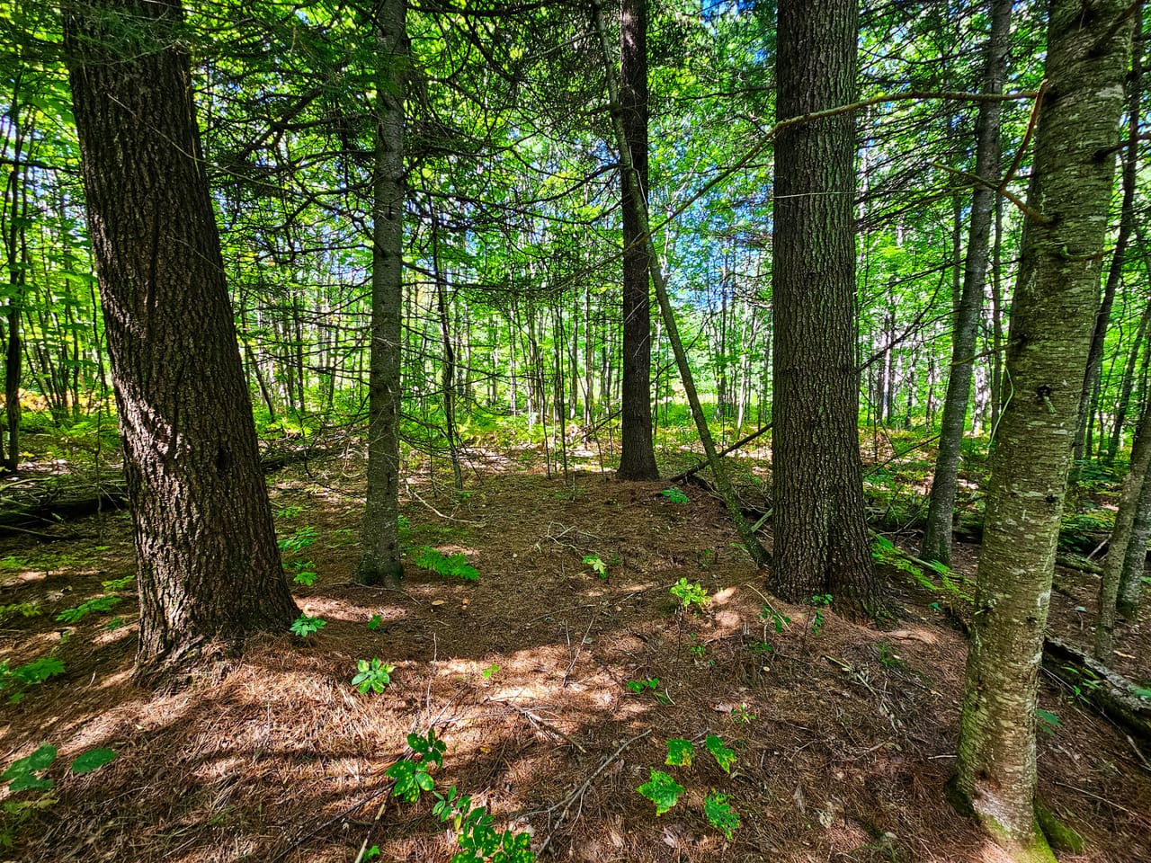 522 Mt. Misery Rd - Littleton