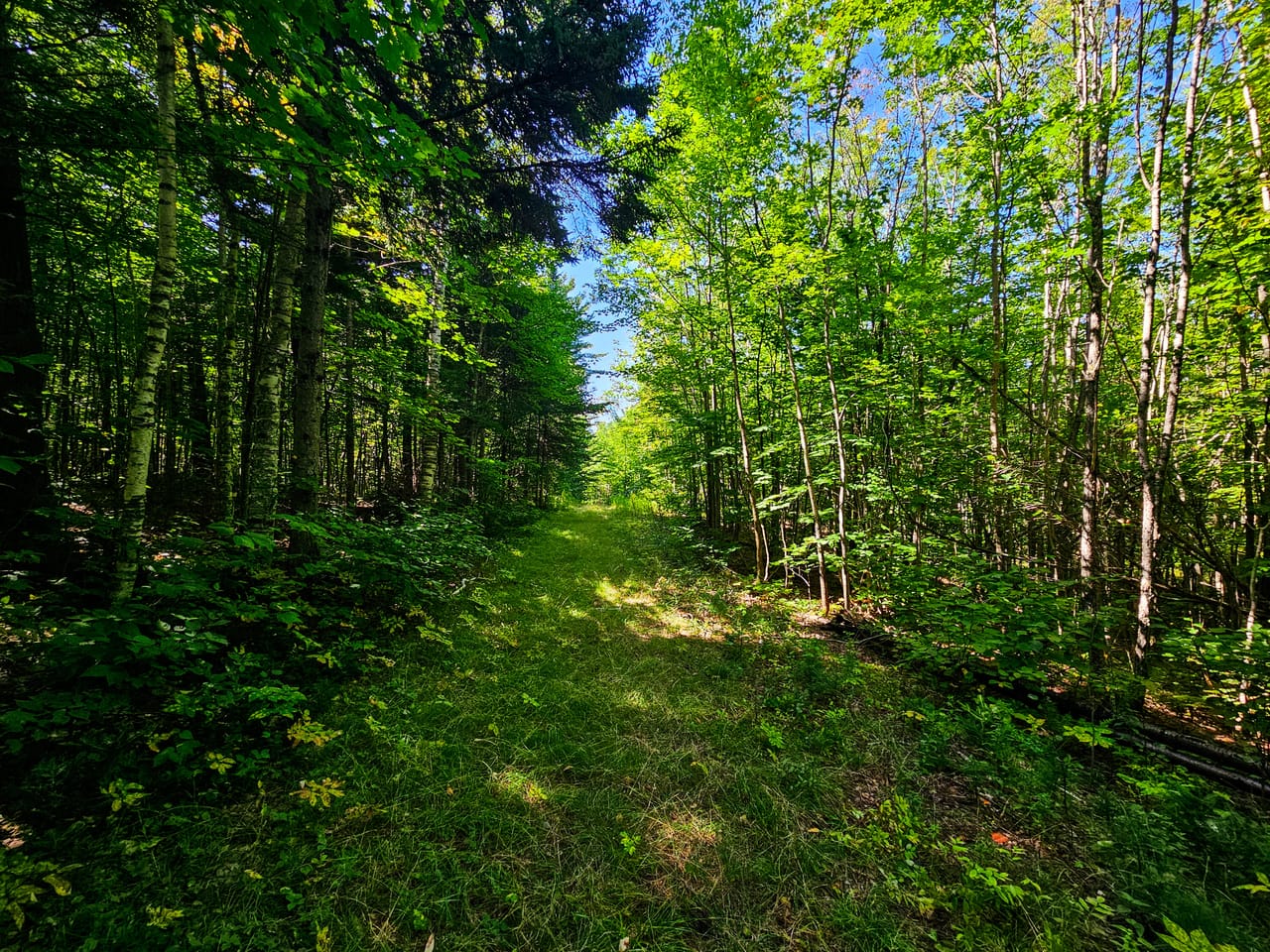 522 Mt. Misery Rd - Littleton