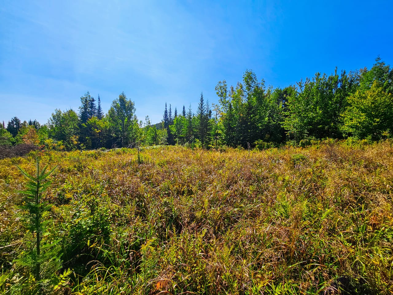 522 Mt. Misery Rd - Littleton