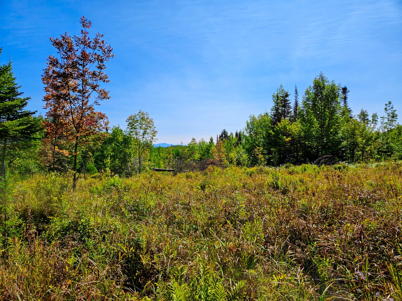 522 Mt. Misery Rd - Littleton