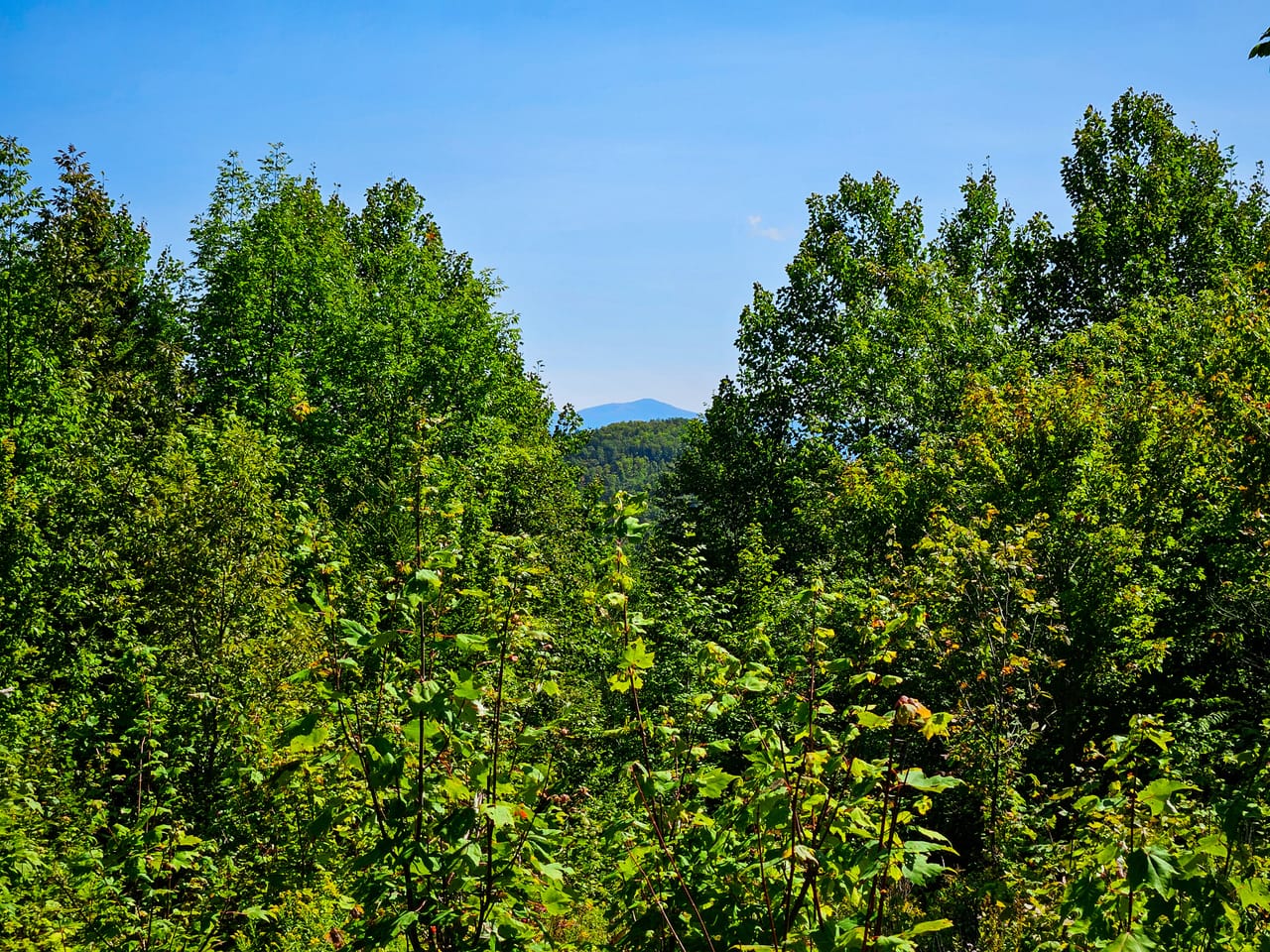 522 Mt. Misery Rd - Littleton