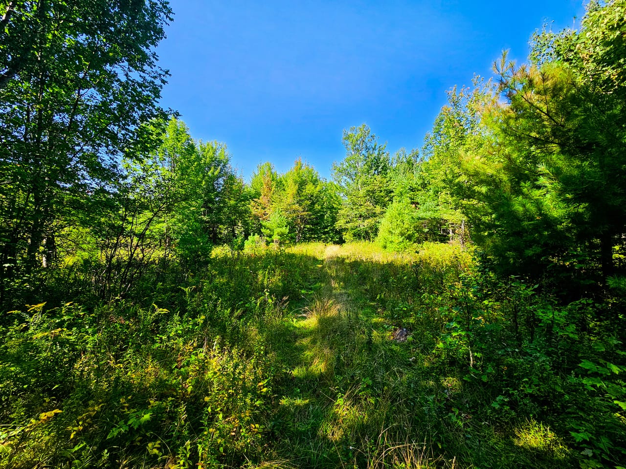522 Mt. Misery Rd - Littleton