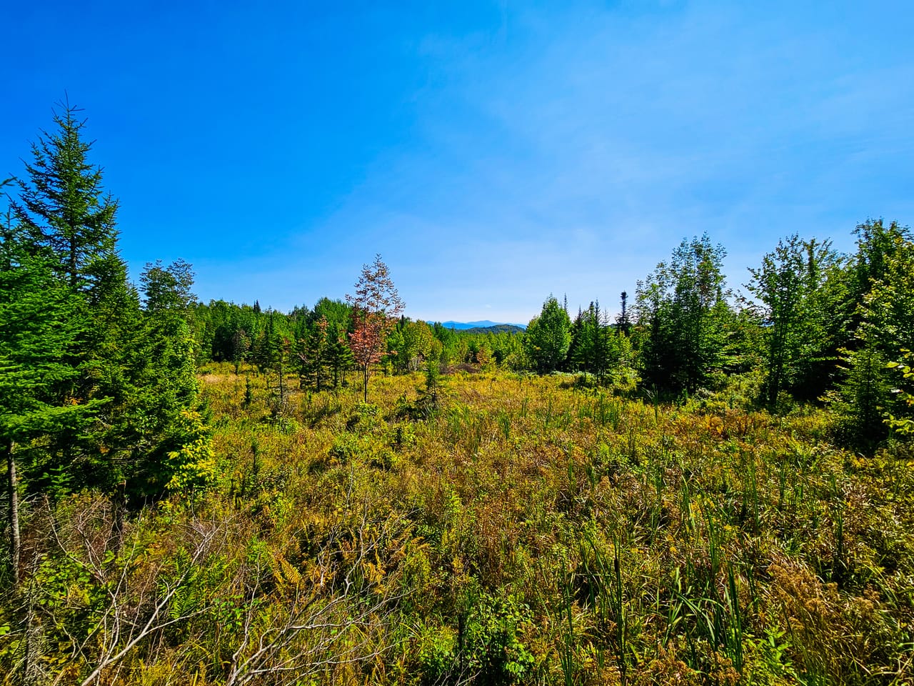 522 Mt. Misery Rd - Littleton