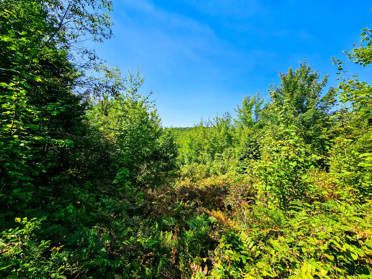 522 Mt. Misery Rd - Littleton
