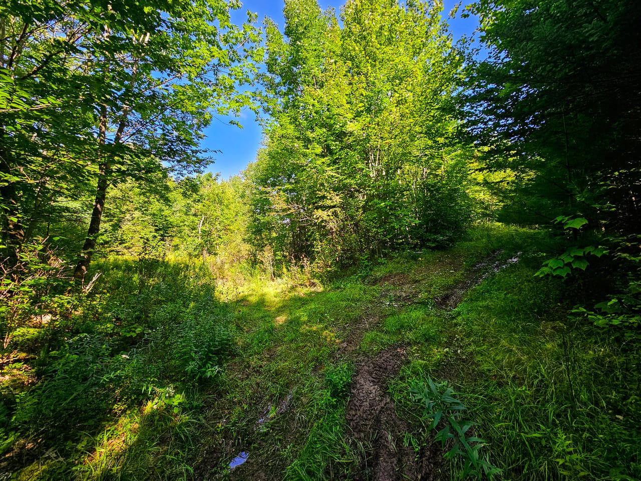 522 Mt. Misery Rd - Littleton