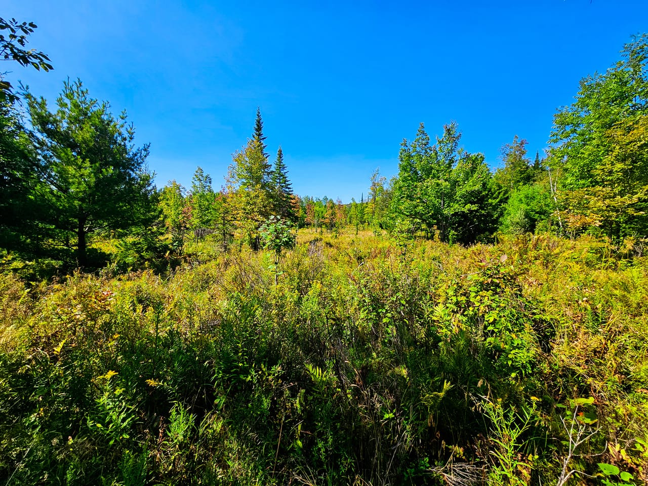 522 Mt. Misery Rd - Littleton