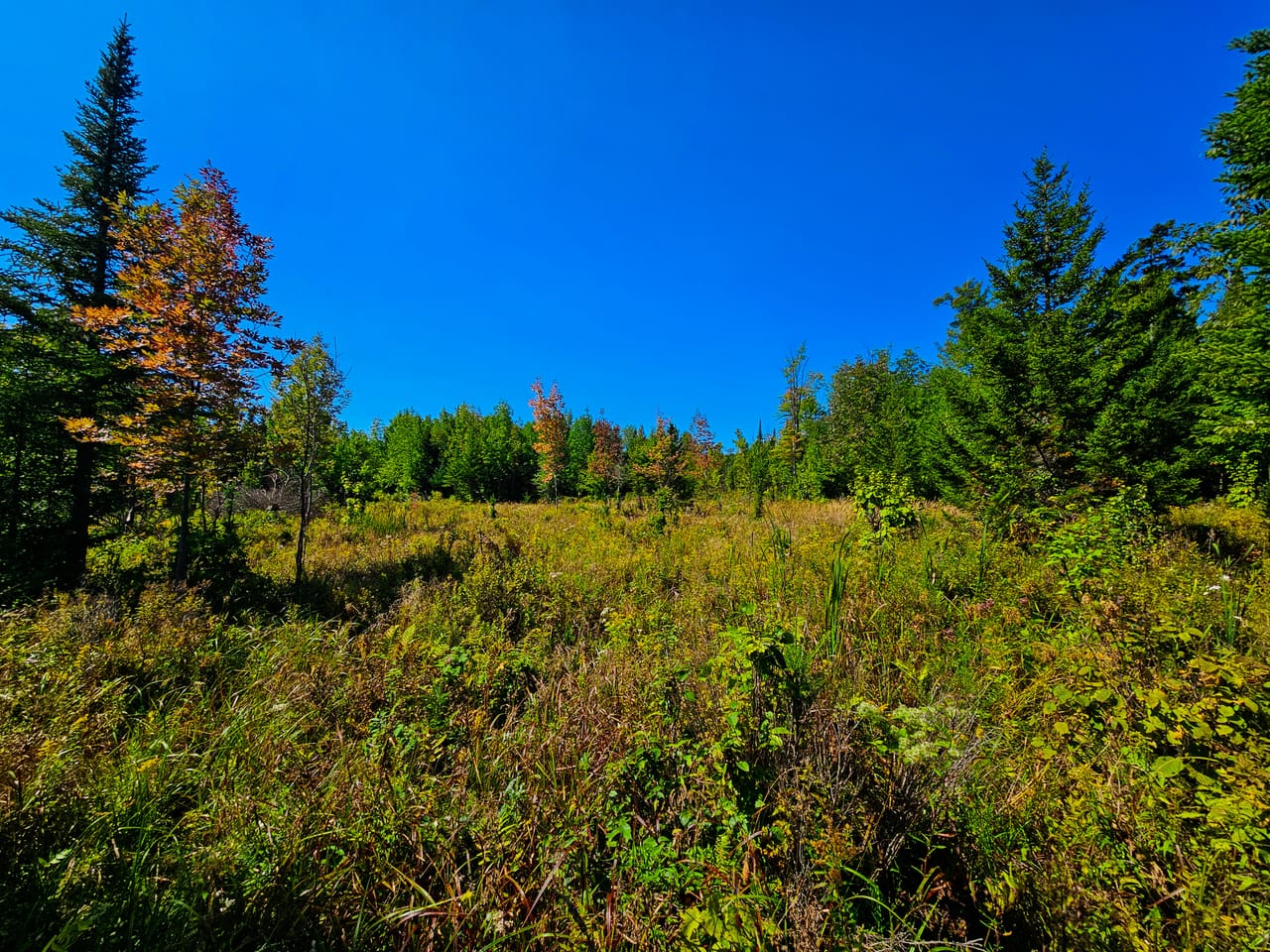 522 Mt. Misery Rd - Littleton