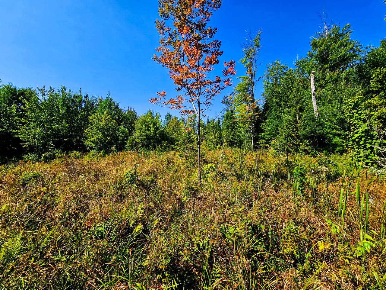 522 Mt. Misery Rd - Littleton