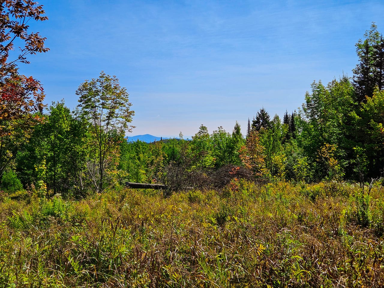 522 Mt. Misery Rd - Littleton