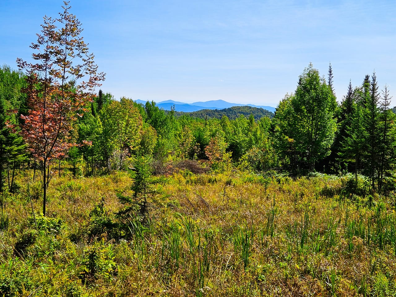 522 Mt. Misery Rd - Littleton