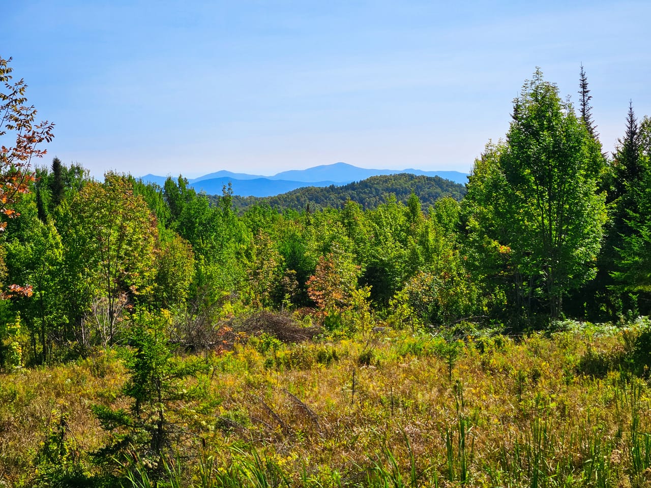 522 Mt. Misery Rd - Littleton