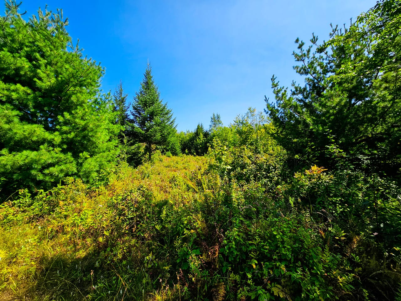 522 Mt. Misery Rd - Littleton