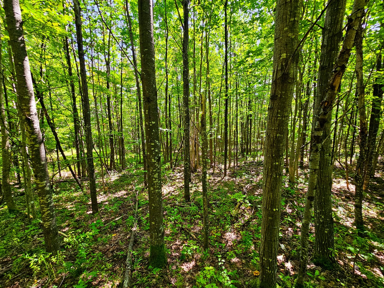 522 Mt. Misery Rd - Littleton