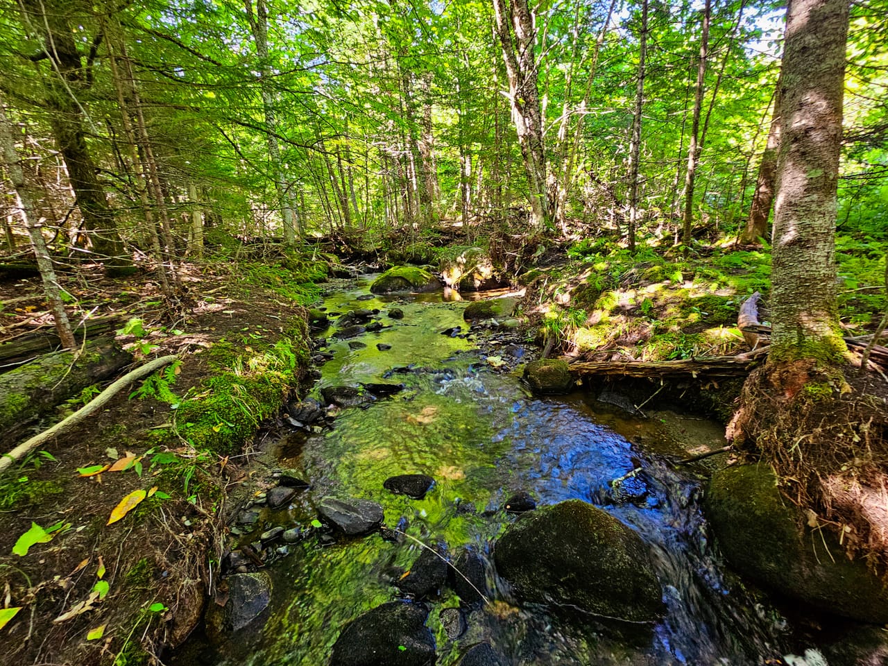 522 Mt. Misery Rd - Littleton