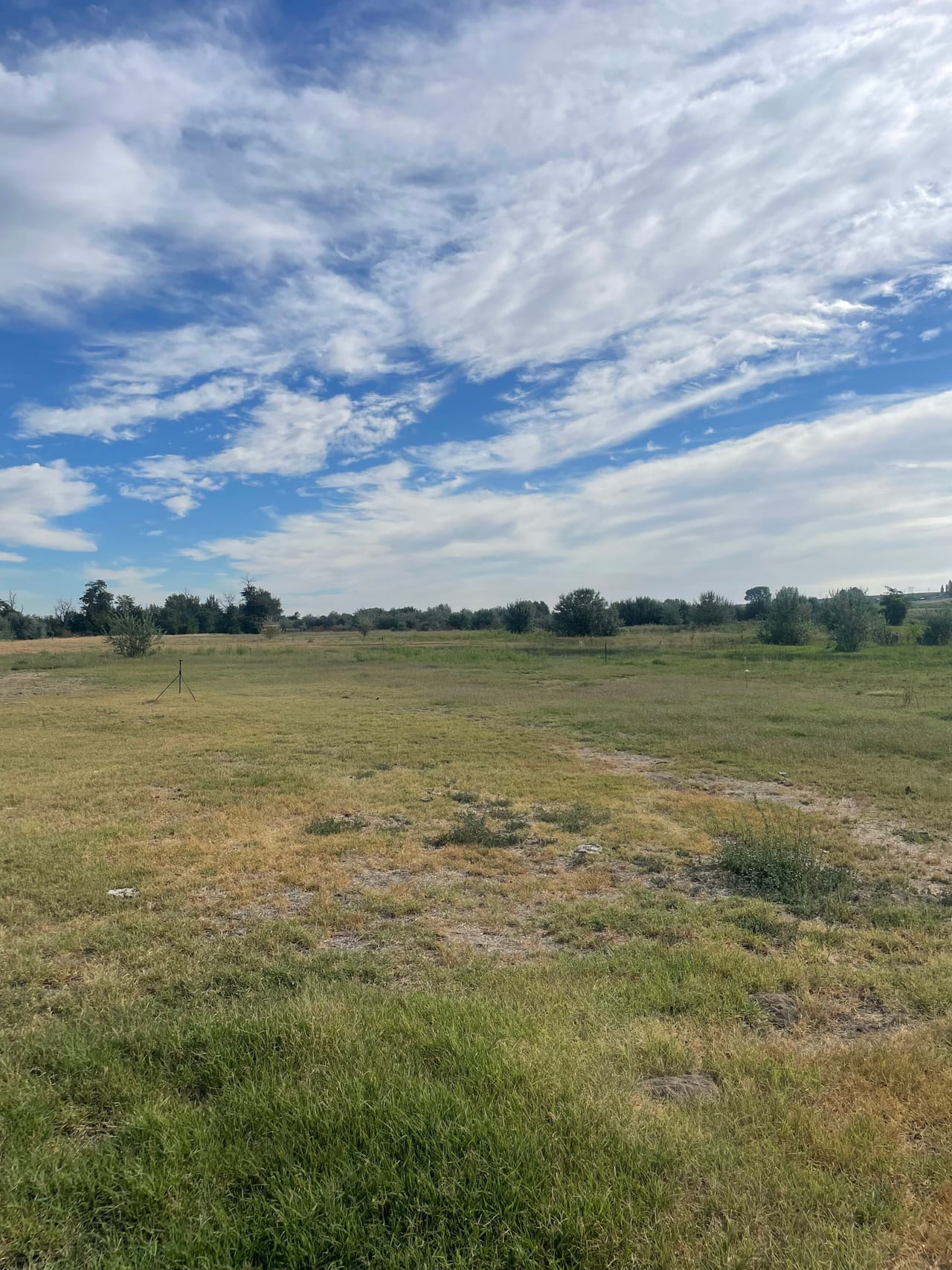 Irrigon Acres 4.68