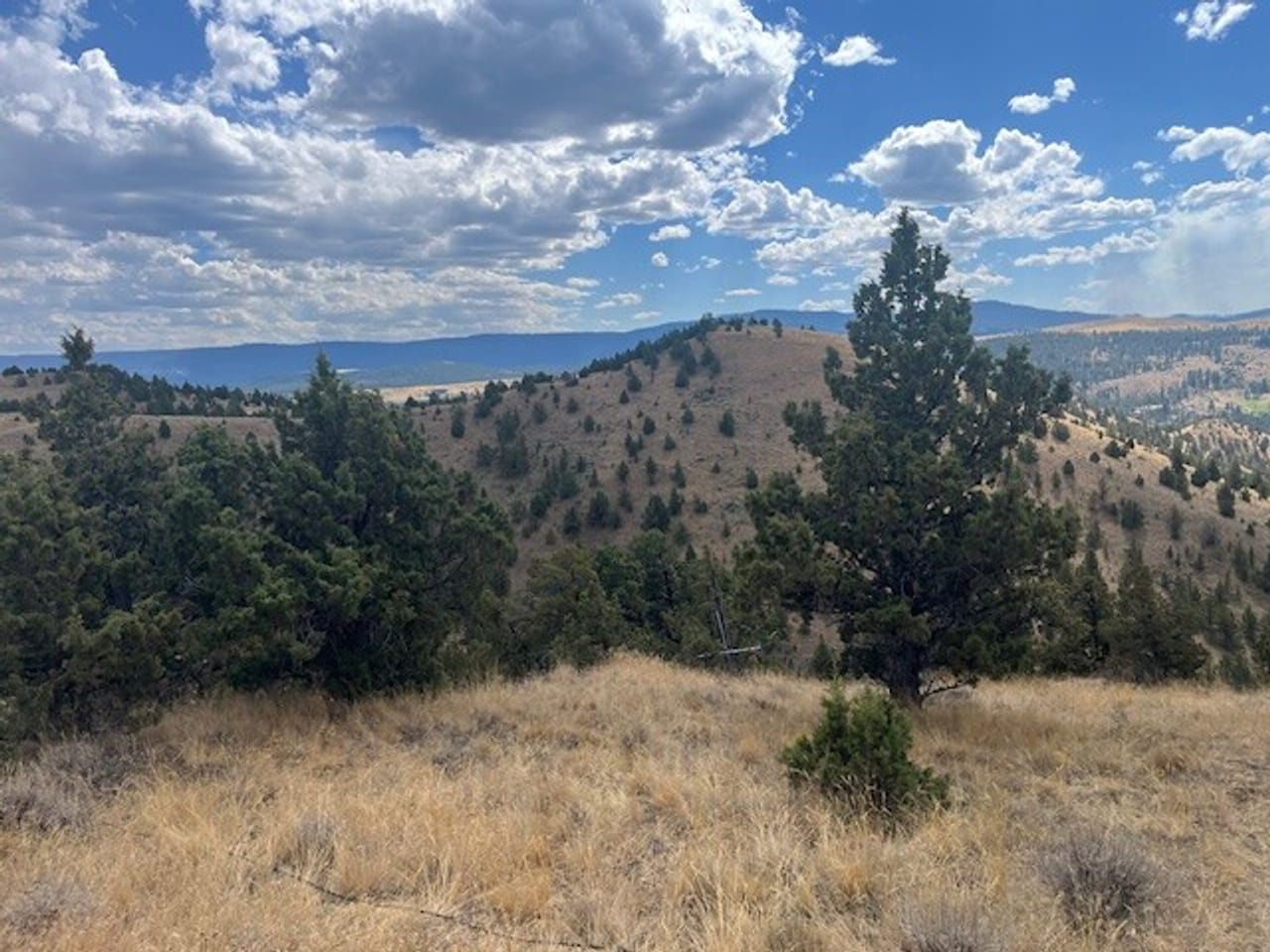 Thomas Ranch, Mitchell, OR