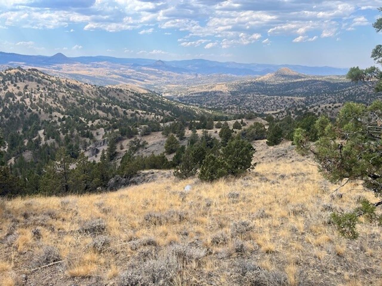Thomas Ranch, Mitchell, OR