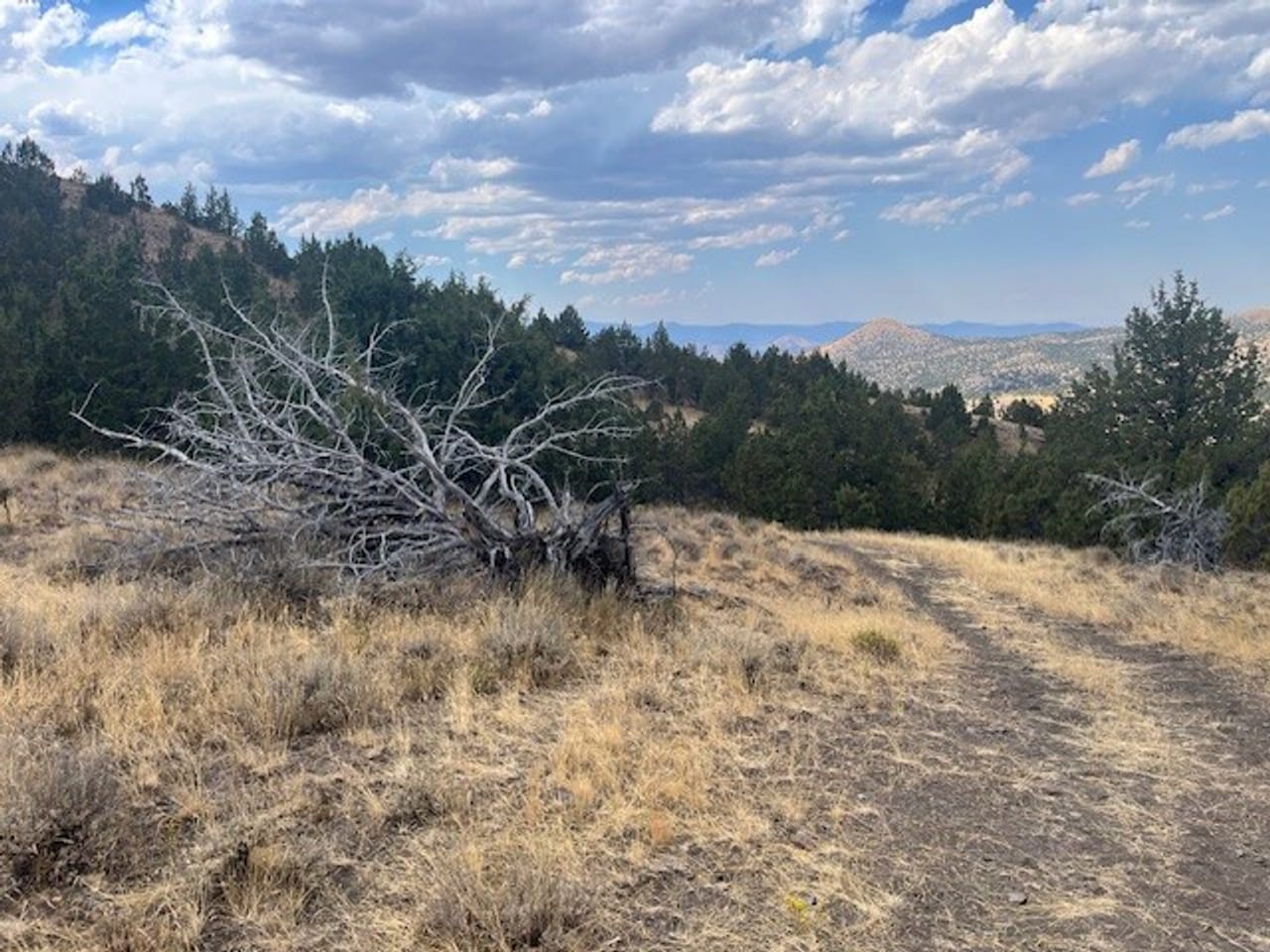 Thomas Ranch, Mitchell, OR