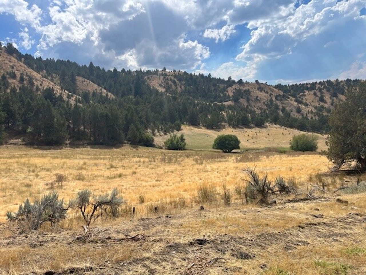 Thomas Ranch, Mitchell, OR