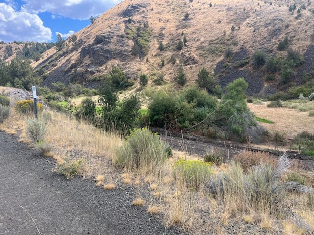 Thomas Ranch, Mitchell, OR