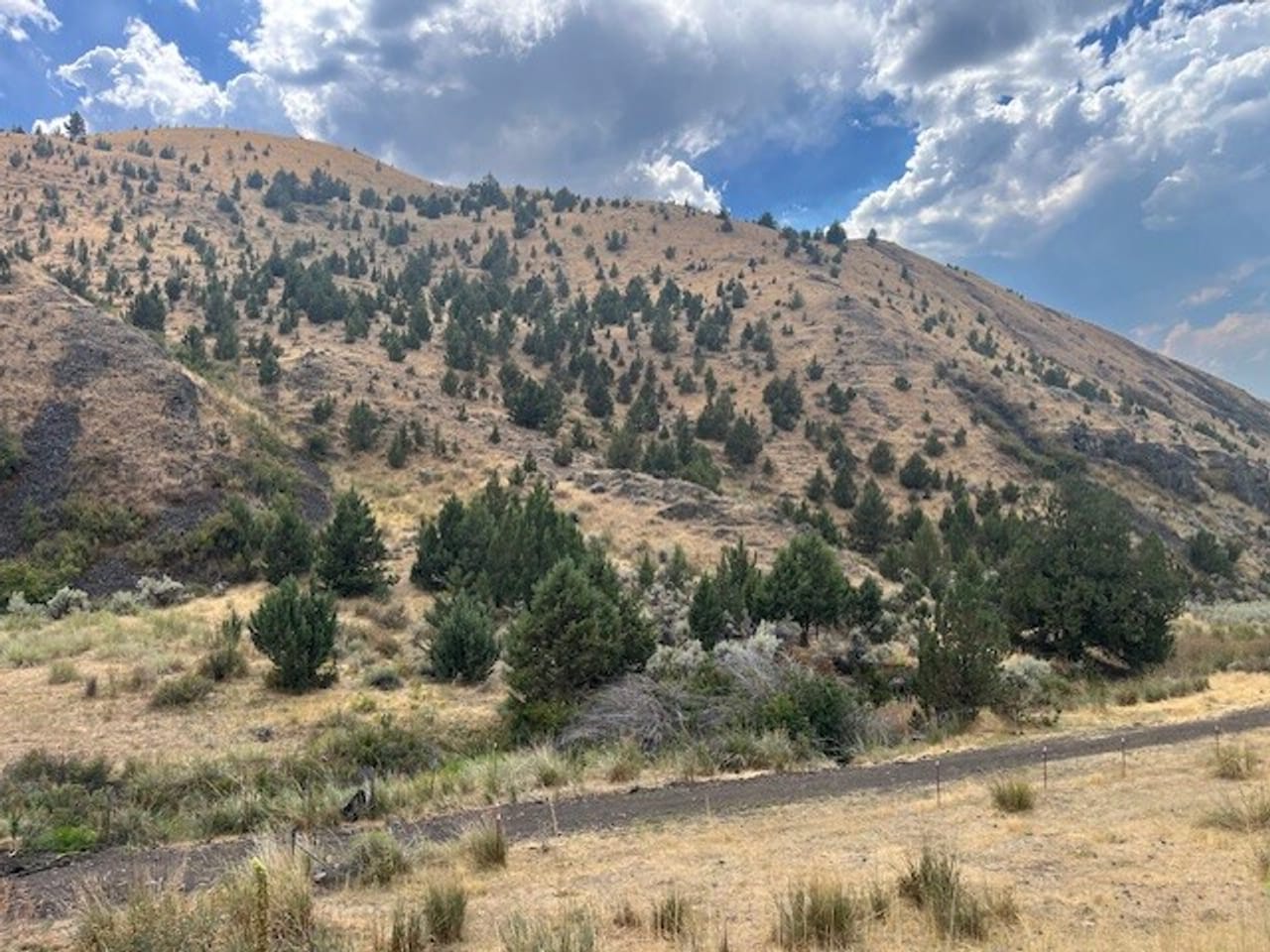 Thomas Ranch, Mitchell, OR
