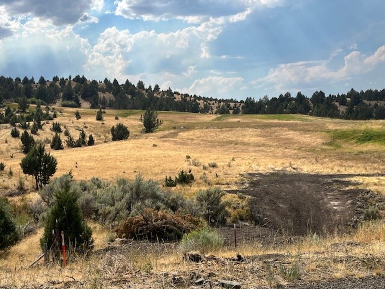 Thomas Ranch, Mitchell, OR