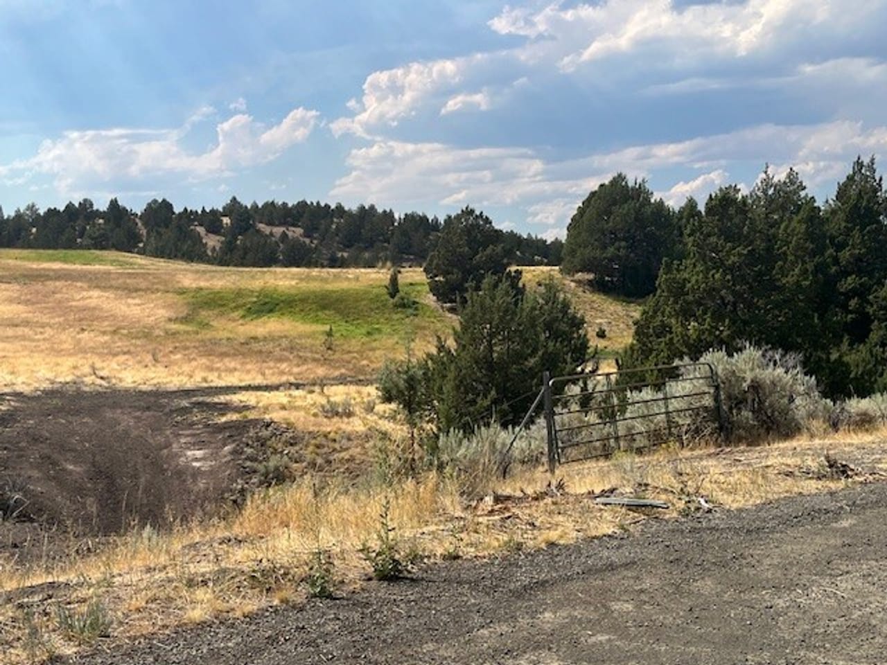 Thomas Ranch, Mitchell, OR