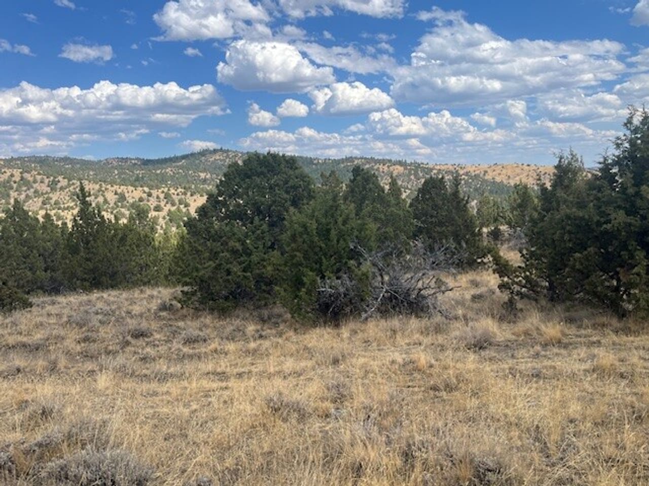 Thomas Ranch, Mitchell, OR