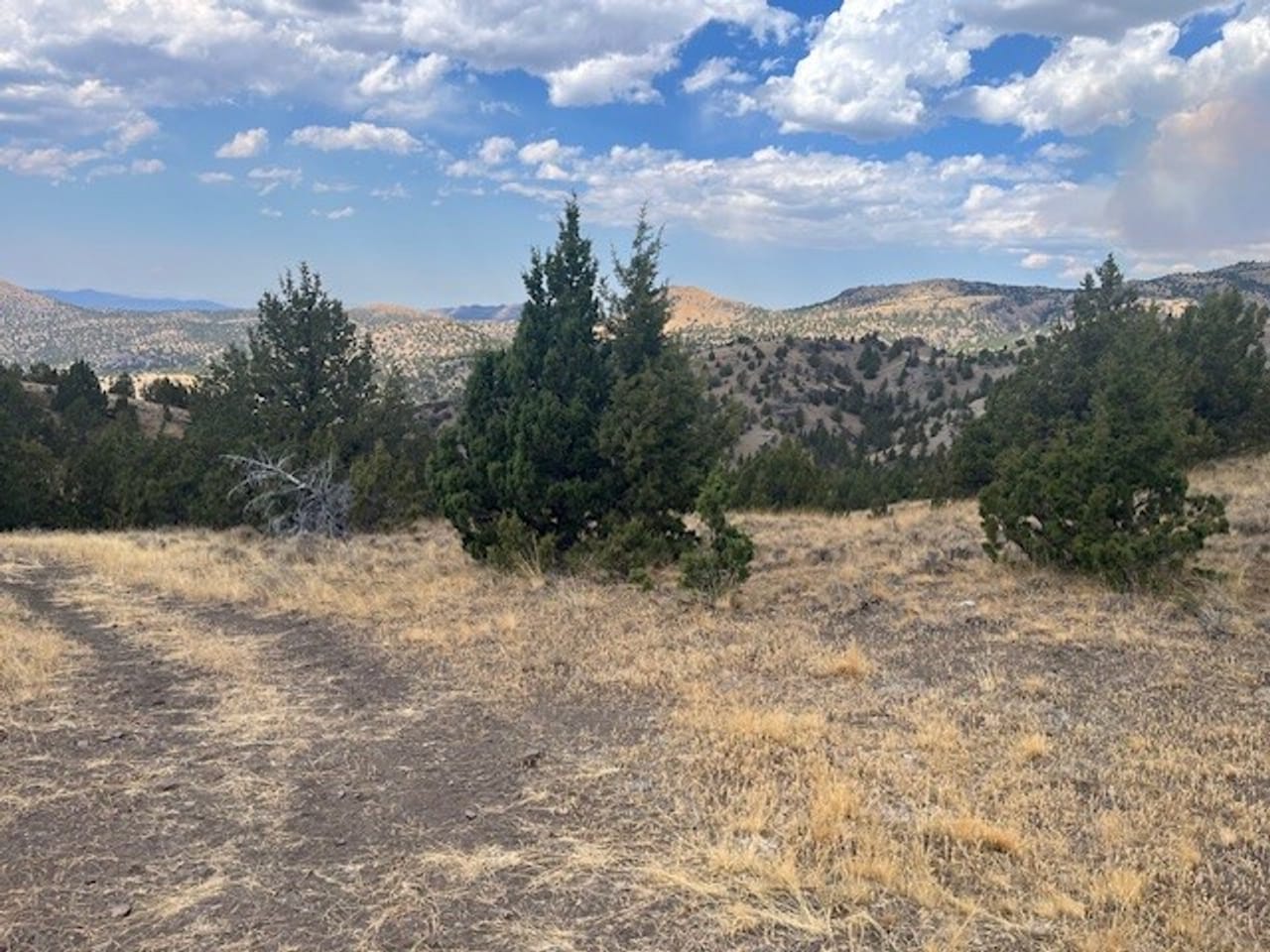 Thomas Ranch, Mitchell, OR