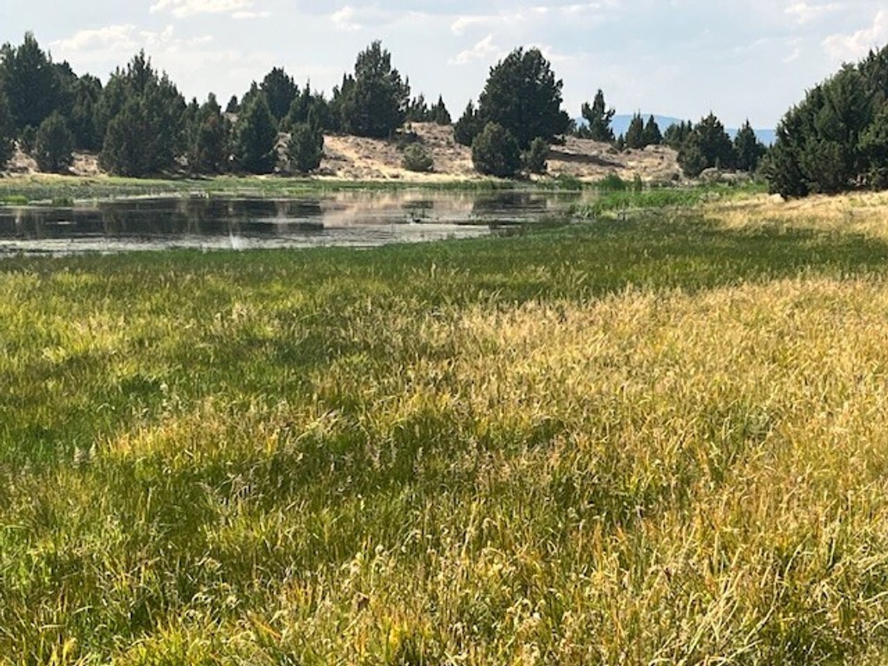 Thomas Ranch, Mitchell, OR
