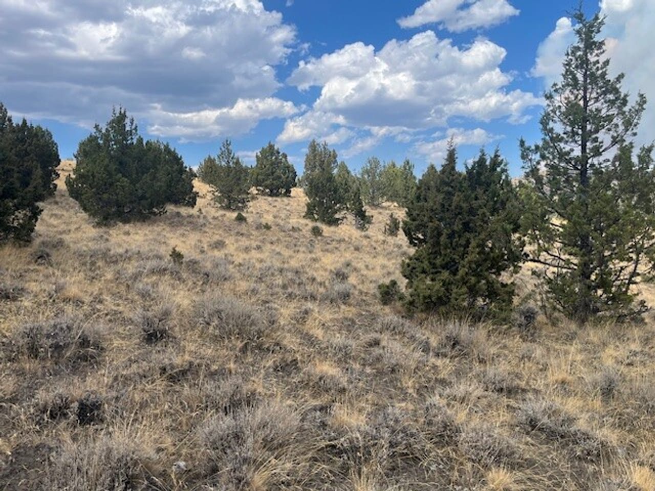Thomas Ranch, Mitchell, OR