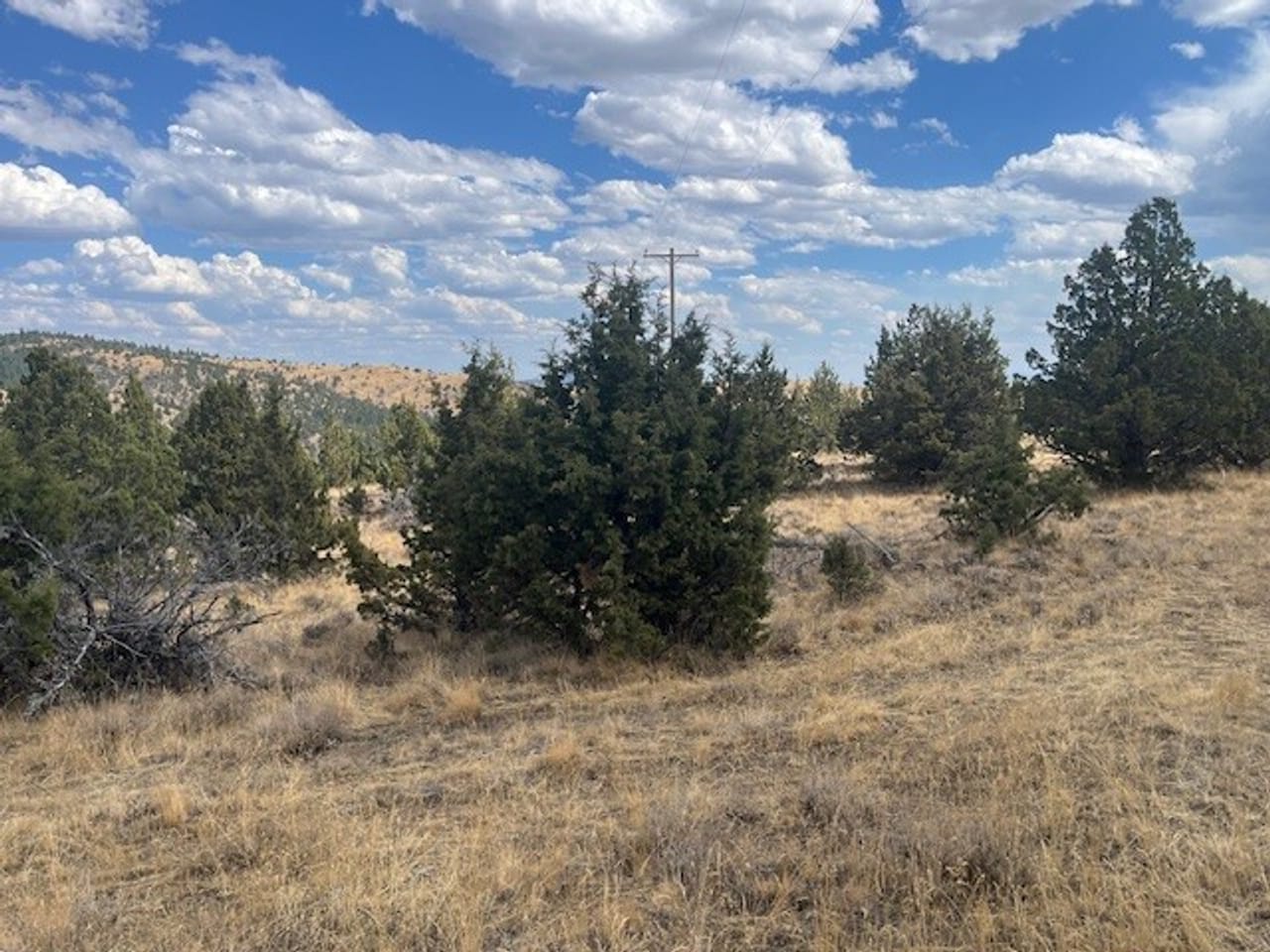 Thomas Ranch, Mitchell, OR