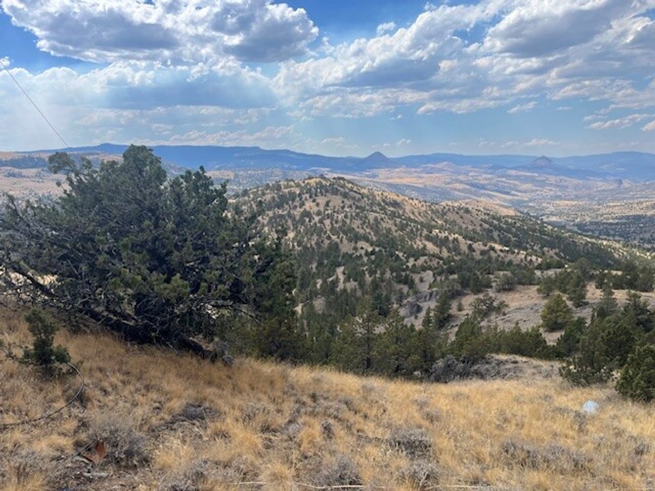 Thomas Ranch, Mitchell, OR