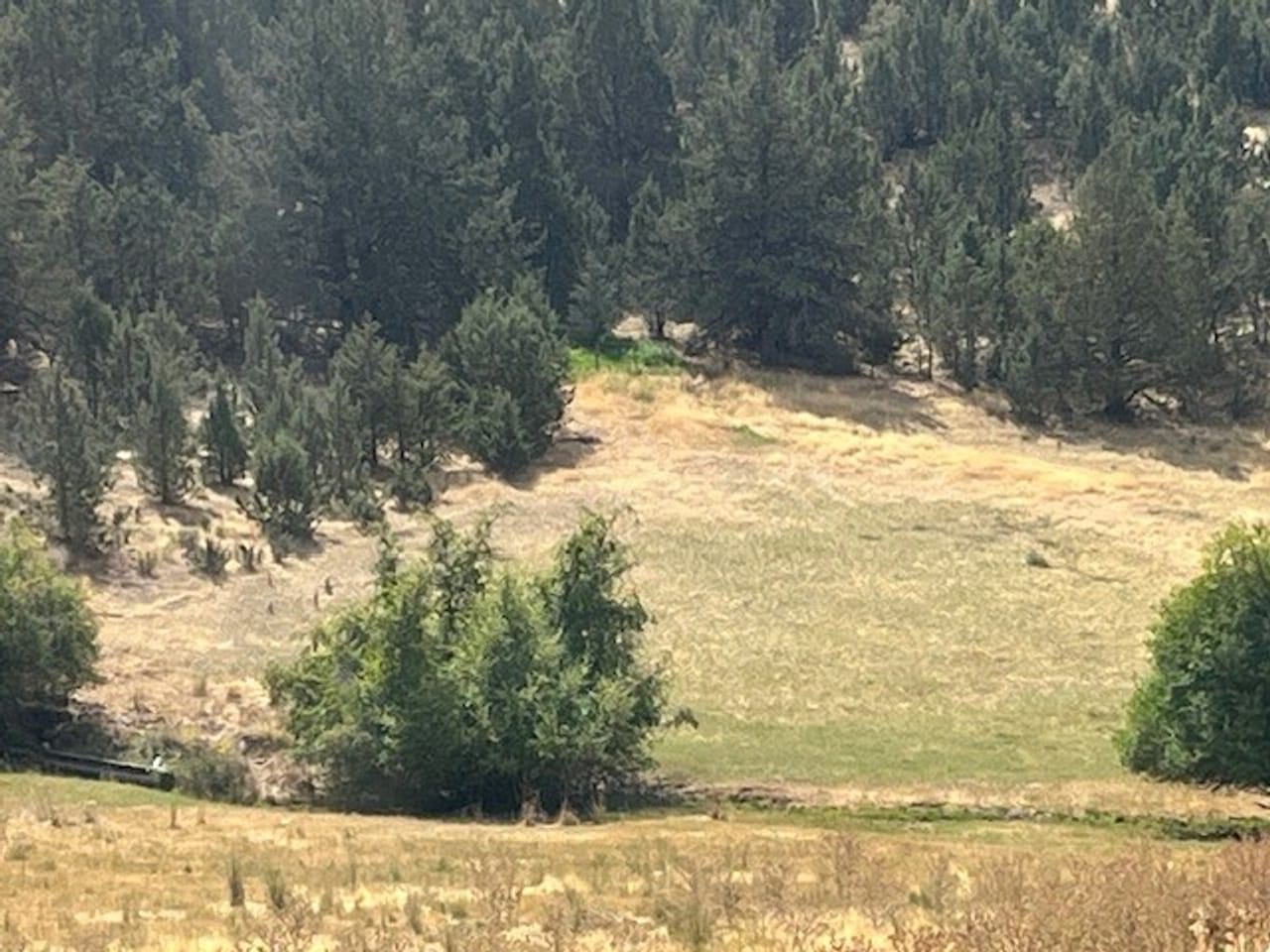 Thomas Ranch, Mitchell, OR