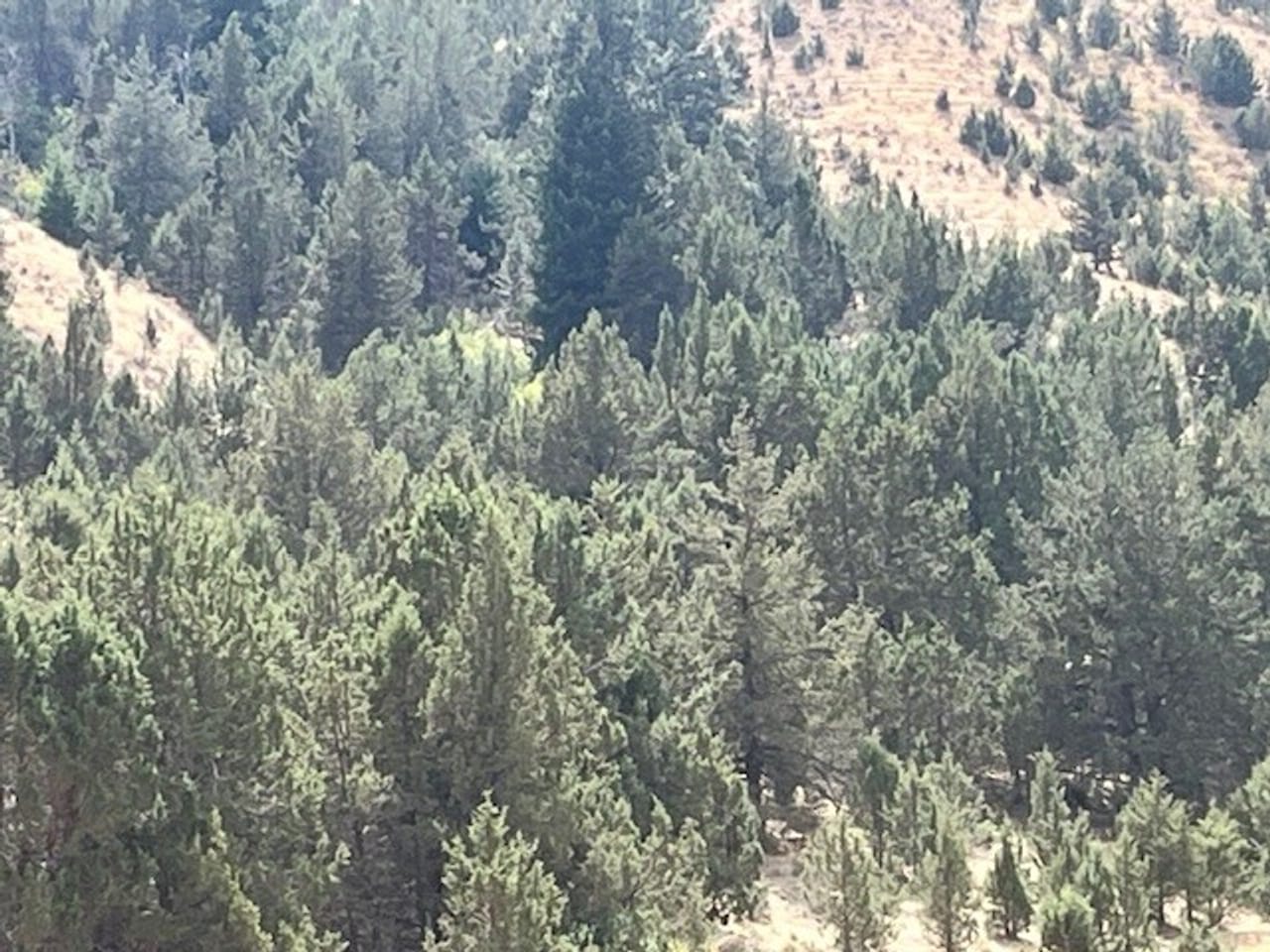 Thomas Ranch, Mitchell, OR