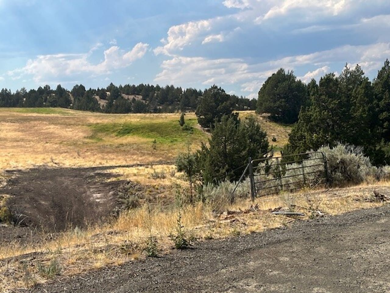 Thomas Ranch, Mitchell, OR