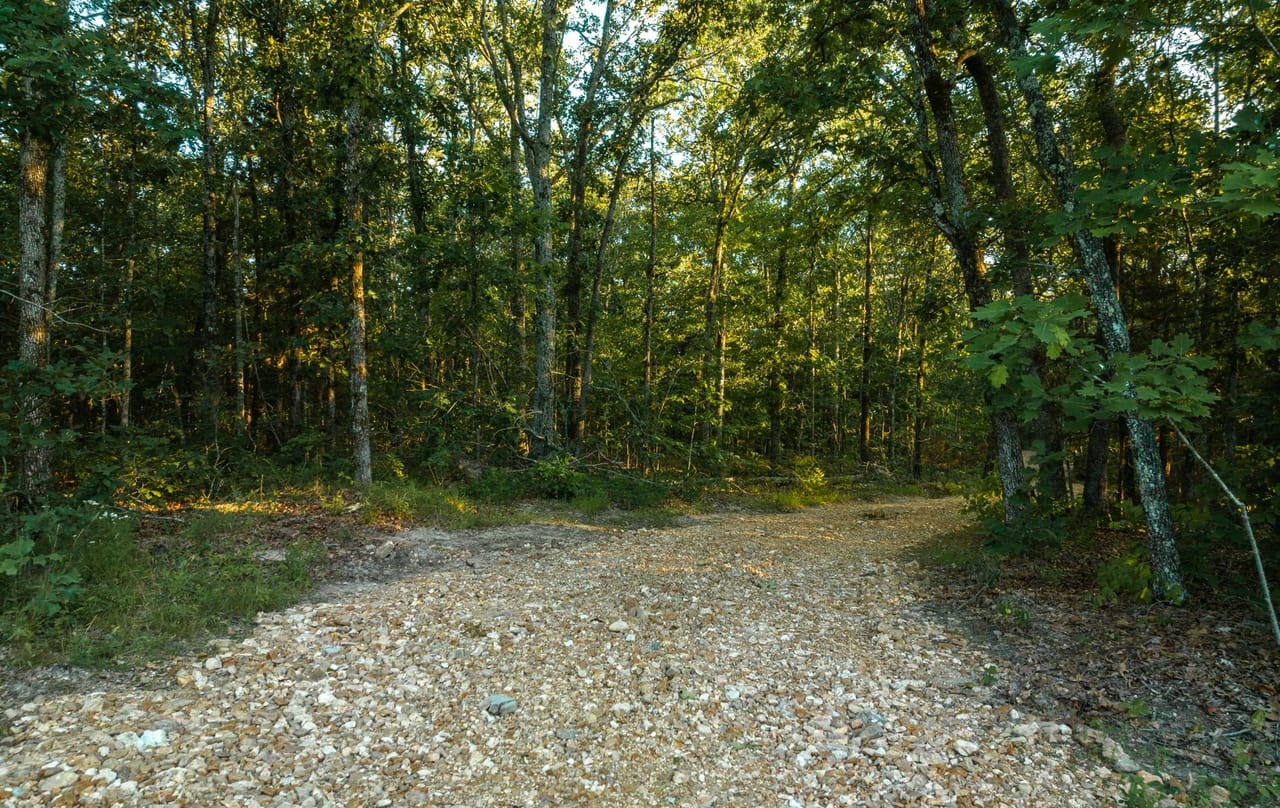 Listing Image 60