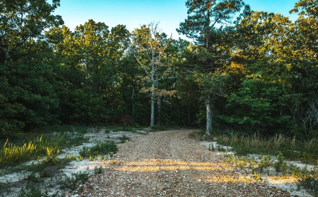 Listing Image 65