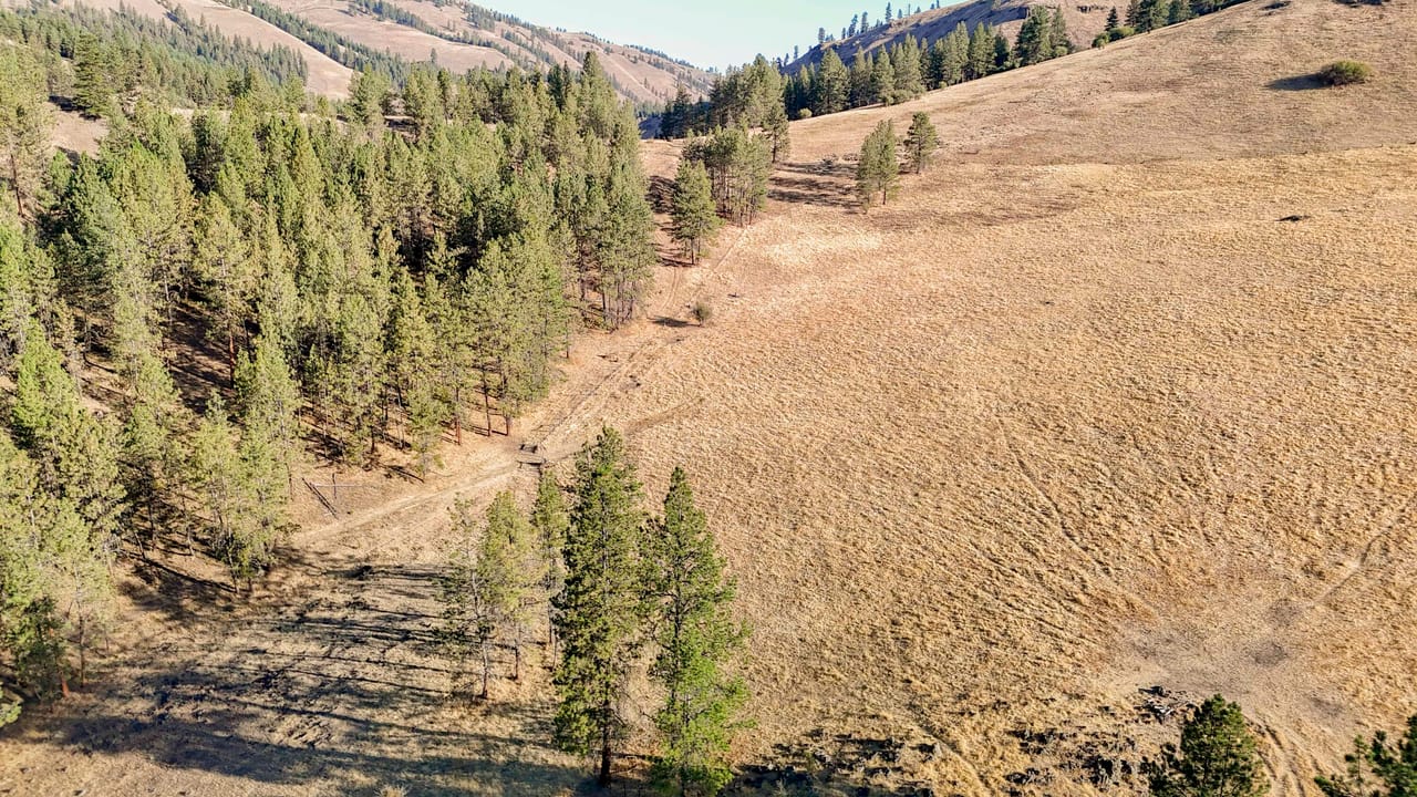 Listing Image 24