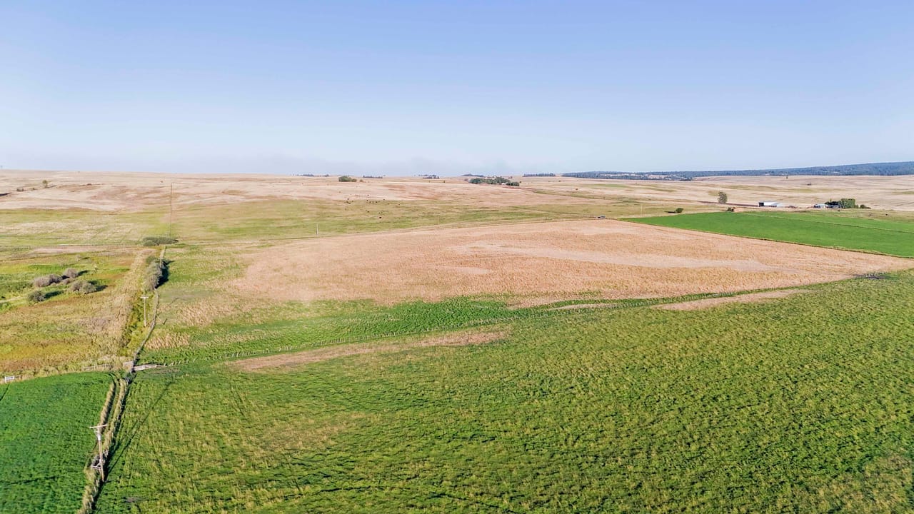 Listing Image 42