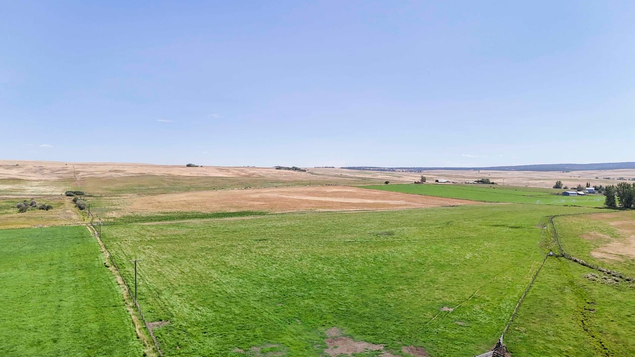 Listing Image 28