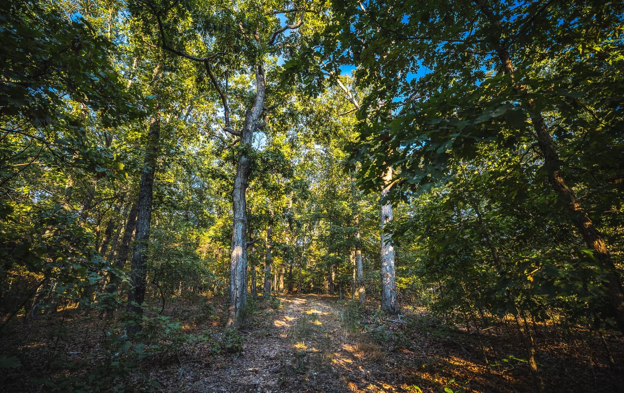 Listing Image 53