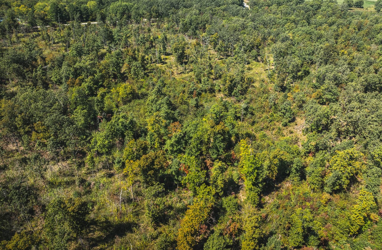 Listing Image 25