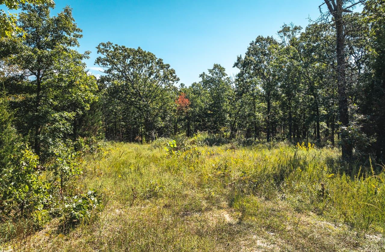 Listing Image 33